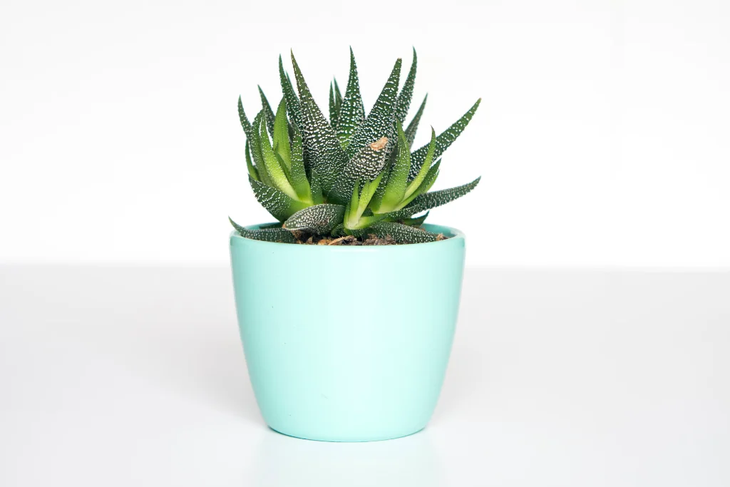 Оптимизация e-commerce воронок